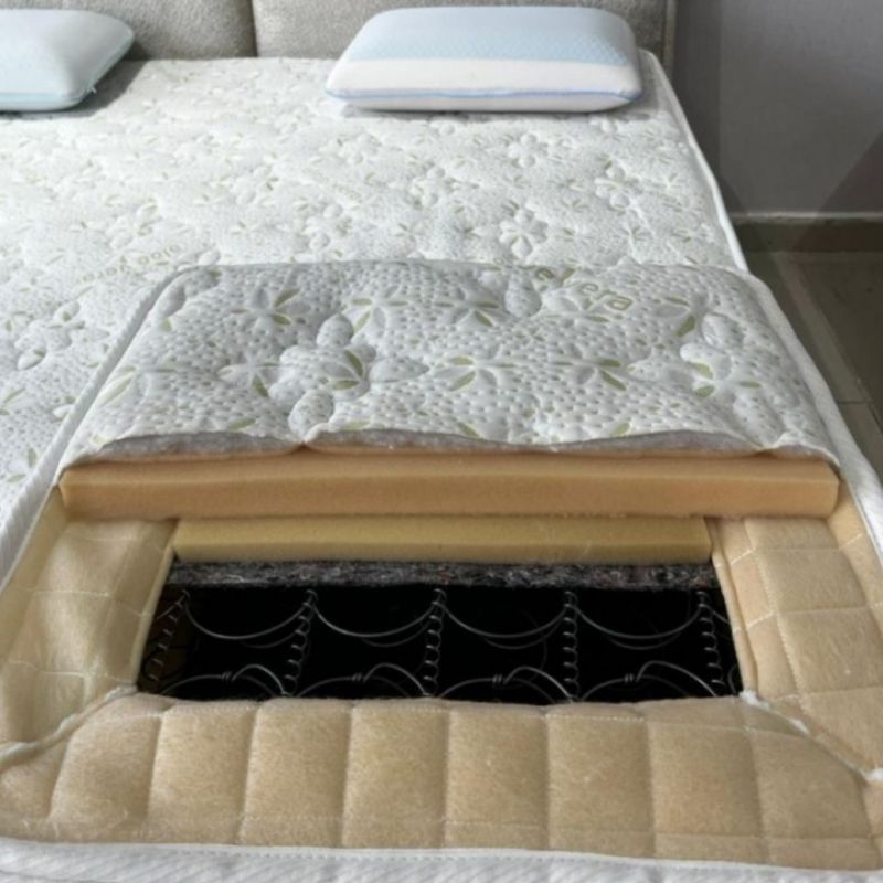 Aloe Vera Pedli Matras – Təbii Zövq və Sağlam Yuxu Təcrübəsi | Taxtaci.az